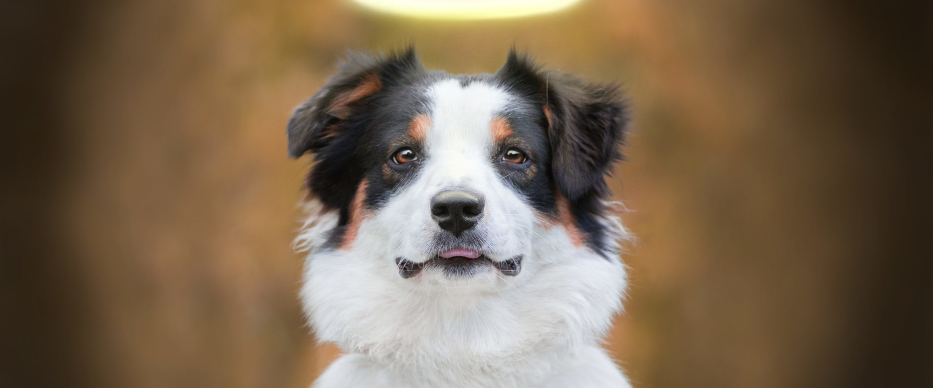 What Are the Risks of Glare and Halos After Lasik Eye Surgery?