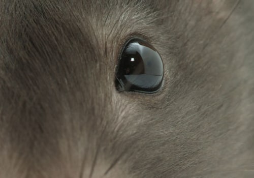 The Benefits of LASIK Surgery: A Comprehensive Guide
