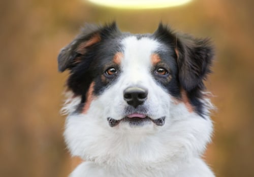 How Long Does Night Glare Last After LASIK Surgery?